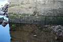 2009-10-09, Niedrigwasser (4)